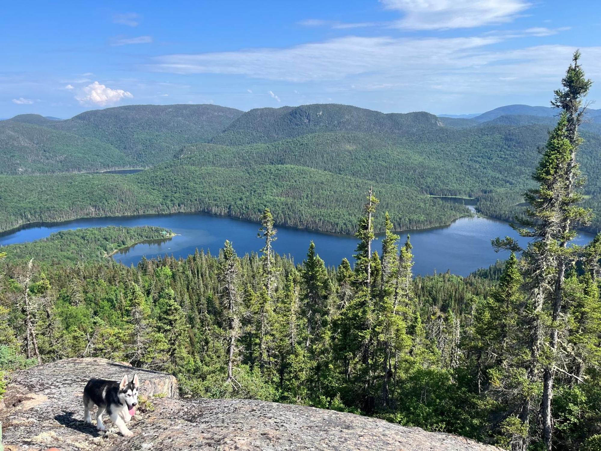 Auberge Boreale De Charlevoix Petit-Saguenay エクステリア 写真